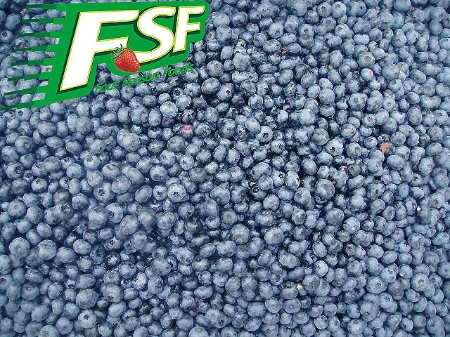 frozen bulk blueberry , fresh blueberry fruits 2015 new crop