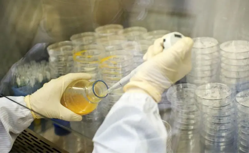 lab test