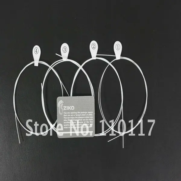 600154.jpg
