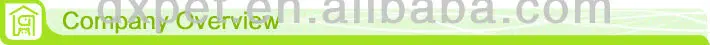 company overview.jpg