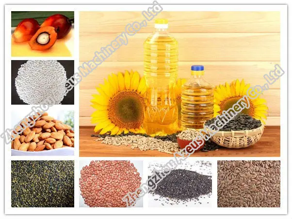 Direct Factory Price Automatic Screw Oil Press for coconut
