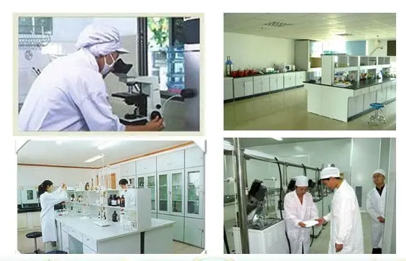 R&D.jpg
