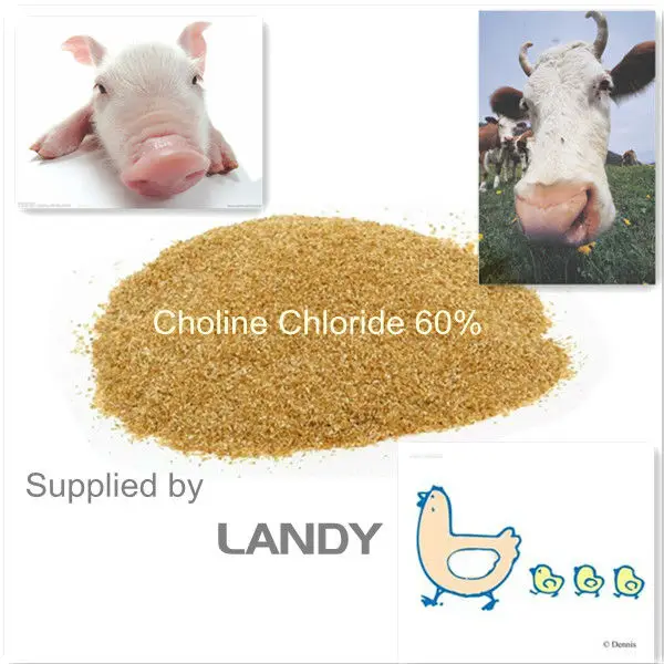 choline chloride 1_.jpg