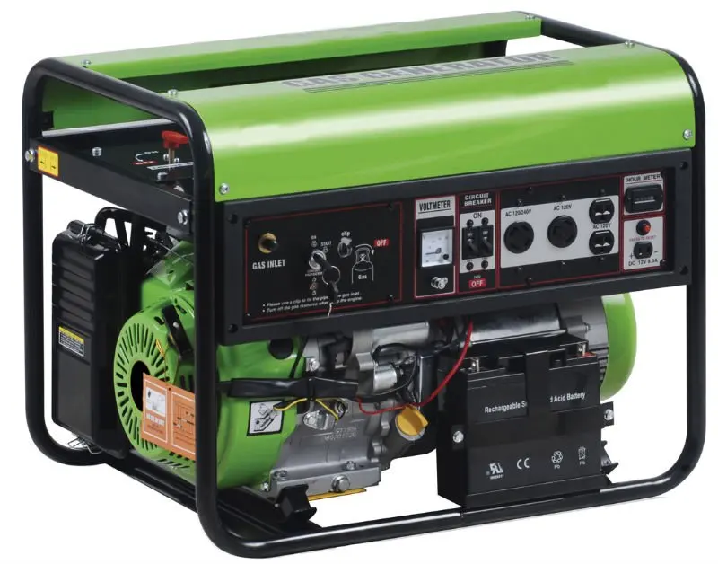 Biogas generator