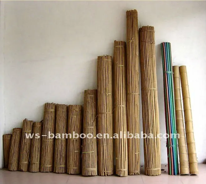 dry bamboo pole