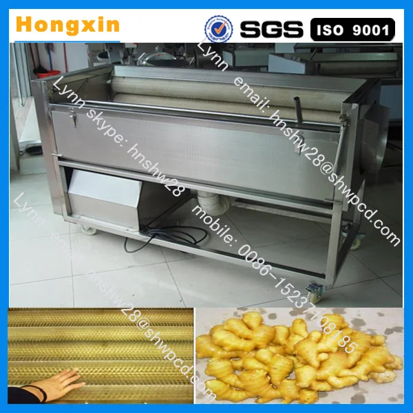ginger carrot, onion, tomato, sweet potato washing washer machine .jpg