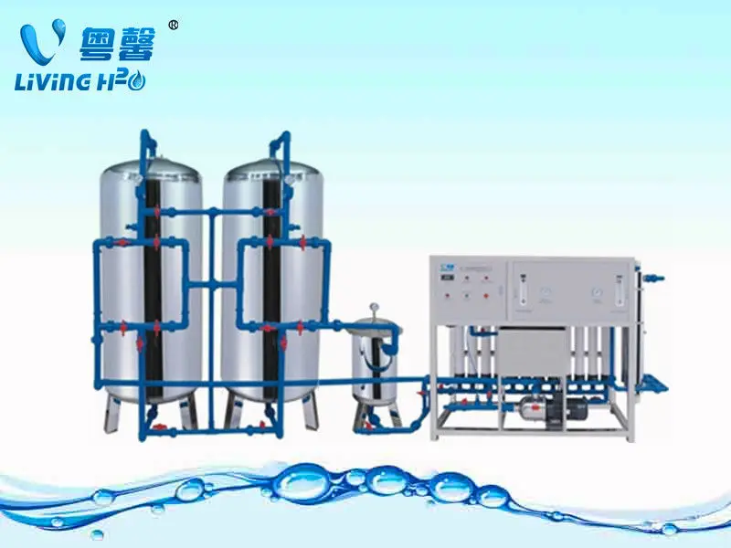 6000LPH