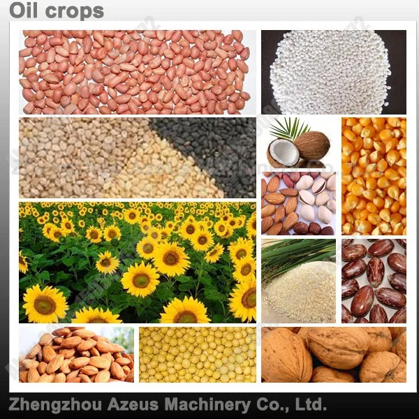Direct Factory Price vegetable seeds oil presser