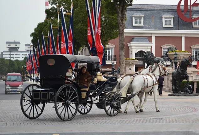 wedding carriage