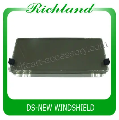 DS-NEW WINDSHIELD.jpg