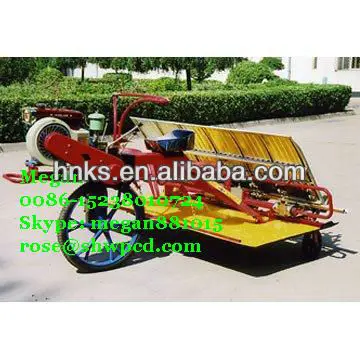 Paddy_Transplant_Rice_Seedling_Machinef.JPG
