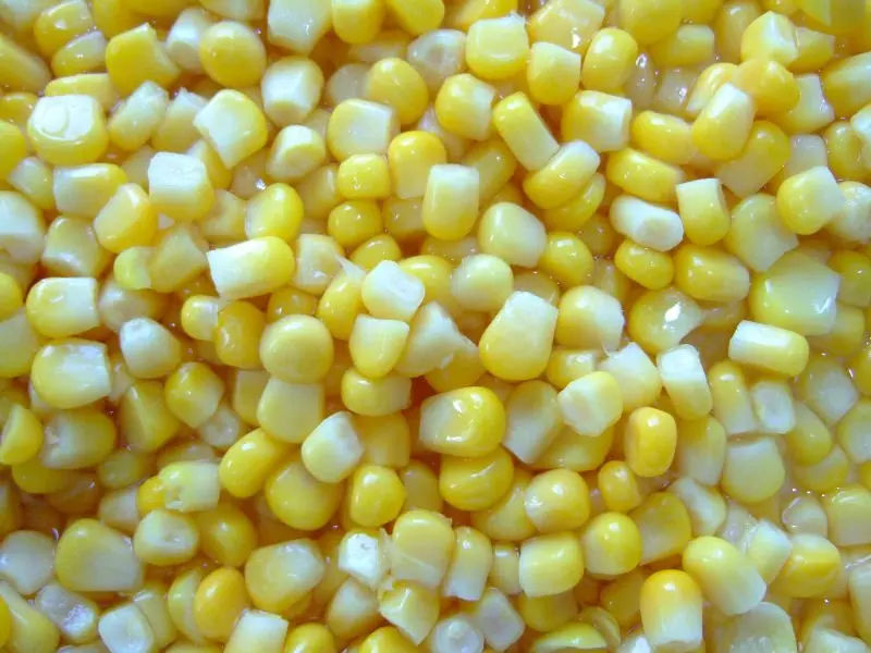 DSCF1397