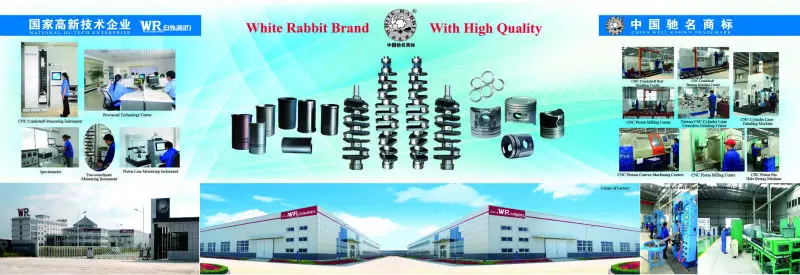 Anhui White Rabbit-Company profile 1