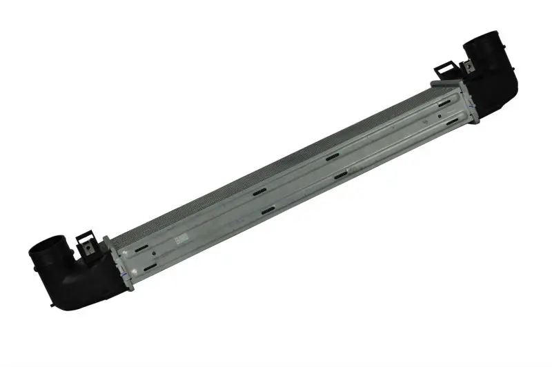 LR031466-2.jpg