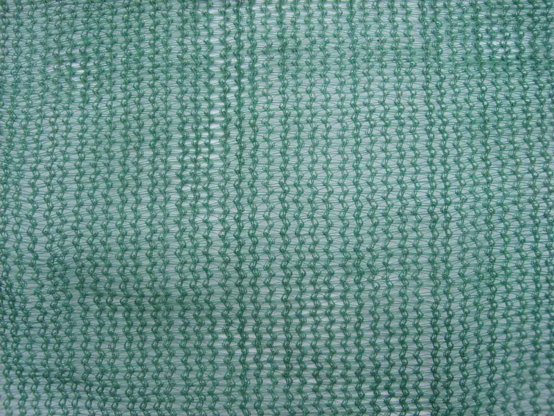 200611111315501113955