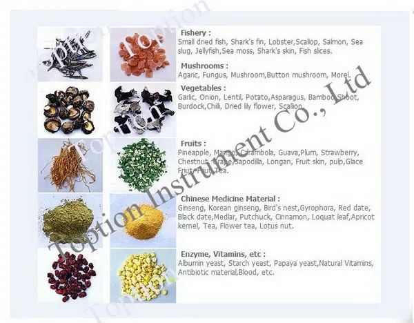 food freeze dryer