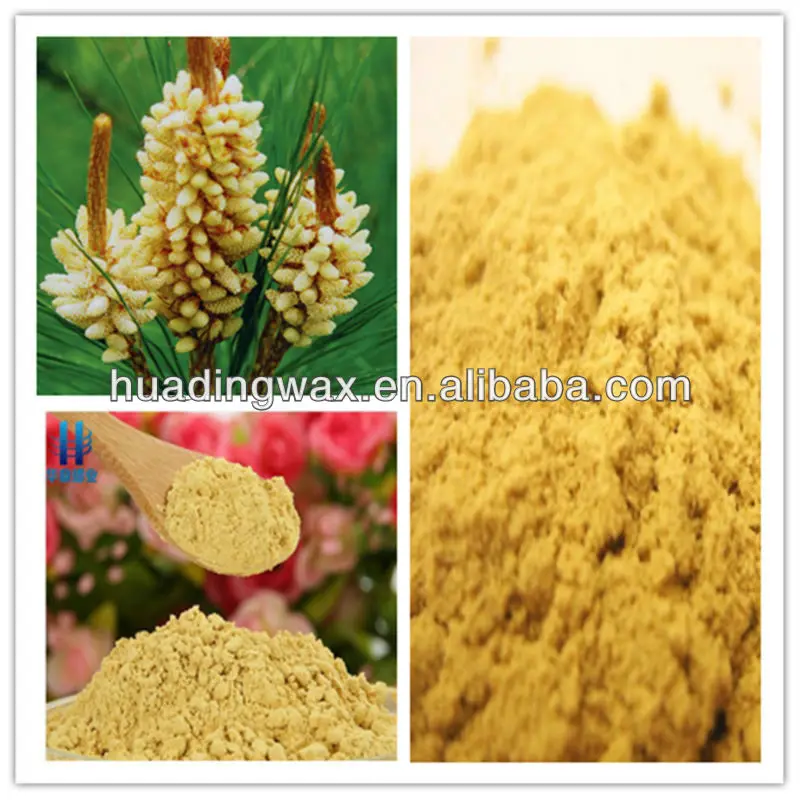 new quality hot sale pine pollen powder