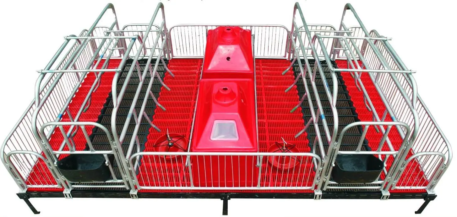 Farrowing Pen For Two Sows 2.2m*3.6m Oem Piglet's Flooring Is Plastic