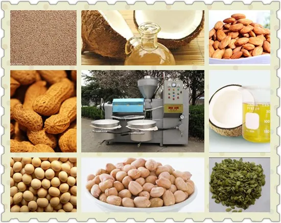 Sunflower/soyabean/peanut Automatic Screw Oil Press With Reasonable Price