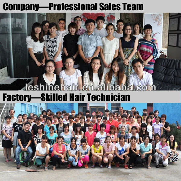 Our Factory and company