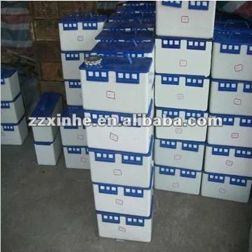 .jpg