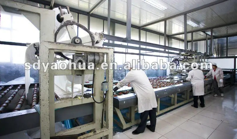 Laminated glass production line
