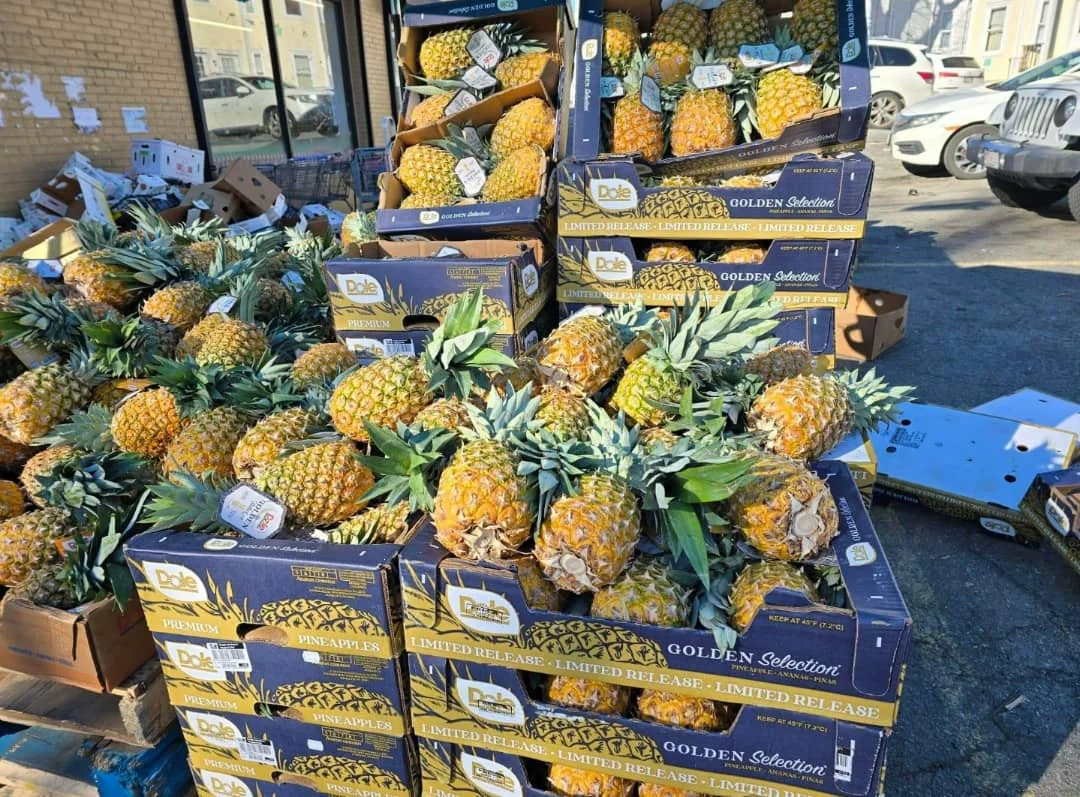 Fresh Frozen Pineapple Hot Product With Best Price Buy Perfect