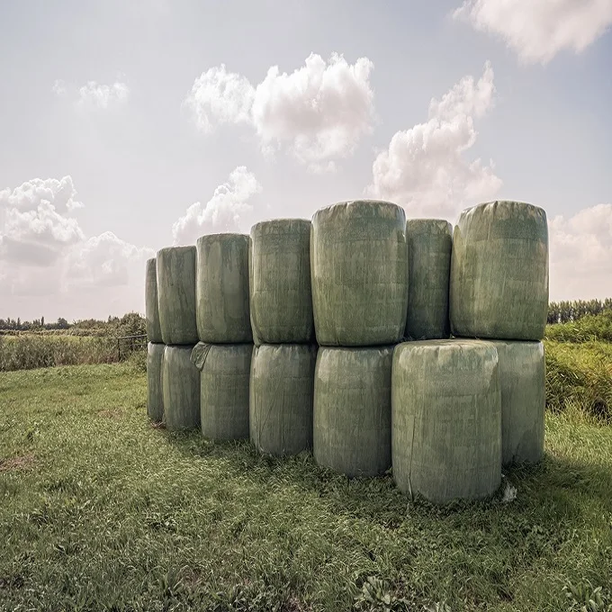 1000 Bales Of 1st Cut Silage Feed Well Chopped No Weeds Or Fertilizer