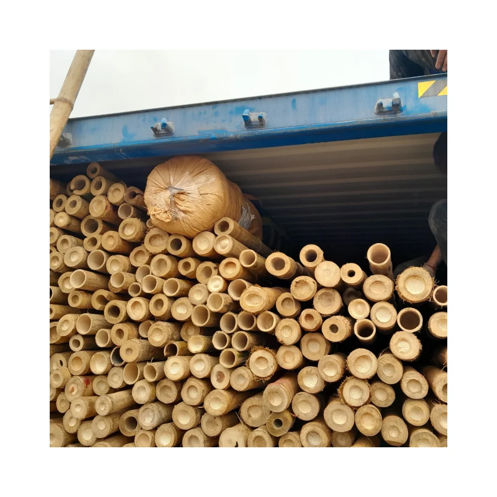 High Quality Vietnam Bamboo Cane Dried Bamboo Poles For Gardening