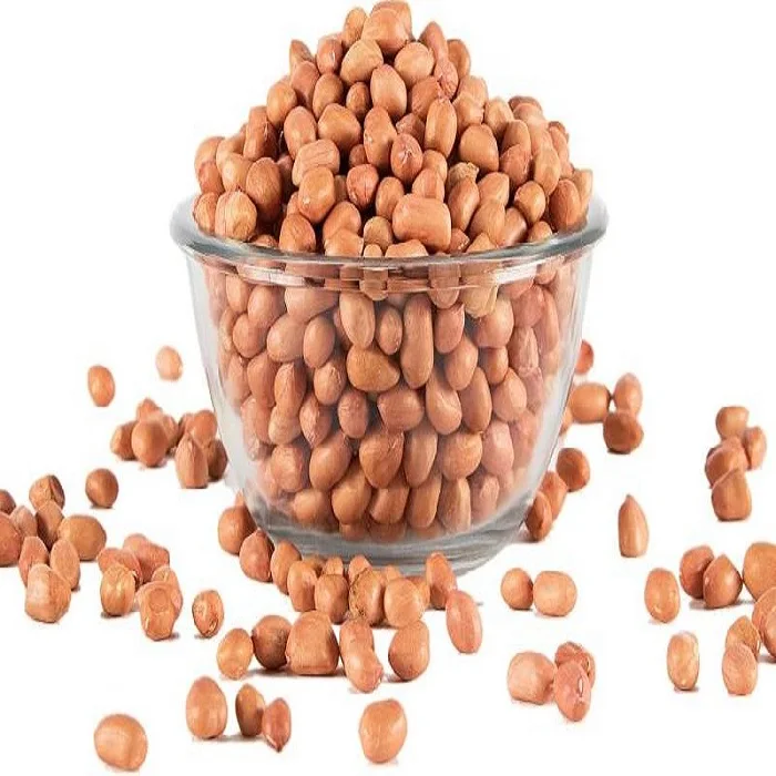 Raw Groundnuts Peanuts With Free International Shipping Dried Organic