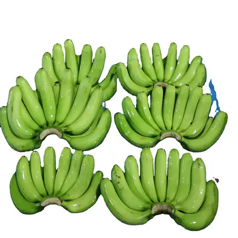 Fresh Cavendish Banana From Banana Export Company With Origin In