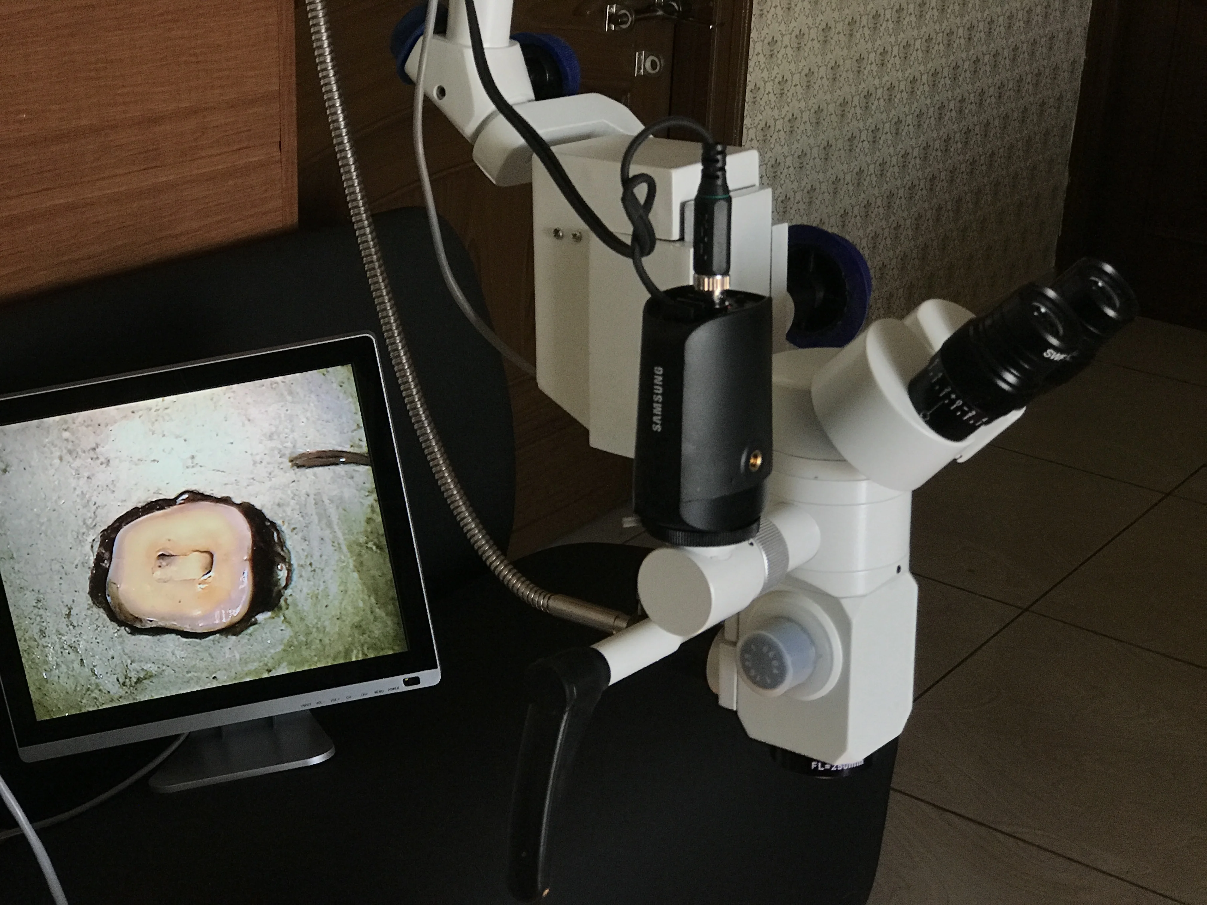 Dental Operating Microscope In Endodontics Buying Opportunity At Low