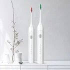 Sonic USB Rechargeable Massager Electric Toothbrush China For Adults