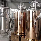 500L Craft beer equipment for making IPAs and crystal wheat ales