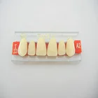 Dental Teeth models and Implants Communication Model for Dentist