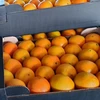 /product-detail/fresh-navalina-oranges-fresh-citrus-fruits-from-greece-62420623981.html