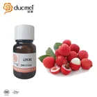 DM-21419 Litchi pulp natural flavoring agents for food/cold drinks and beverage