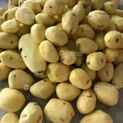 Taro Peeler Machine Food Processing Production Line Sweet Potato Taro Peeler And Washing Machine