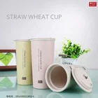 Hot Selling Customized Wheat Straw Rice Husk Fiber 300ML/400ML Double Wall Mug Coffee Cup Degradable Mug 2240J/2241J