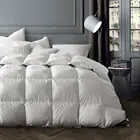 Globon 700 Fill Power, 100% Sateen Cotton Shell, With Corner Tabs Duvet Insert
