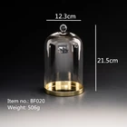 Glass Glassglass Glass Decoration Antique Glass Domes Terrarium With Custom Base For Home Decor