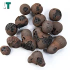 Hydroponic Expanded Ceramsite / Clay Balls for Plants Growing