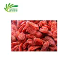 Dried Dried Chinese Wolfberry Organic Dried Goji Berry Plant