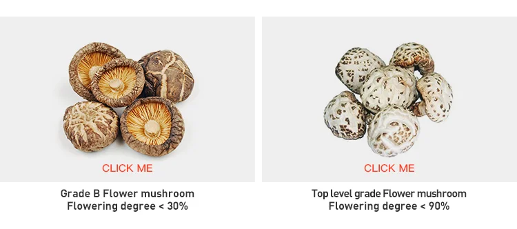 wholesale grade a dried flower mushroom