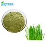 Xi`an SOST Wholesale Organic Natural Wheat Grass Extract Powder