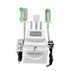 Hot selling 360 cryo handle Belly Fat Reducing 3 in 1 slimming machine for body shaping