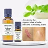 OEM Natural Herbal Extract Acne Scar Removal Cream
