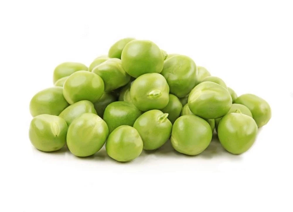 wholesale high quality fresh green split peas