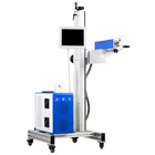 laser marking type for rollling glass laser marking machine food printer lst