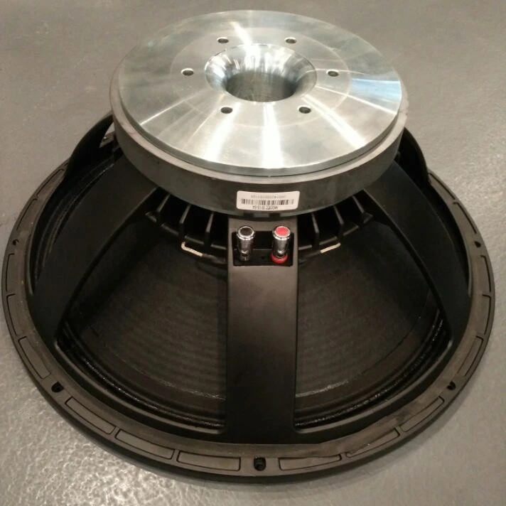 live speaker subwoofer